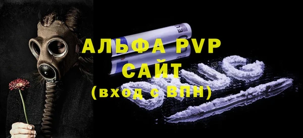 гашик Козловка