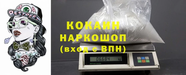 гашик Козловка