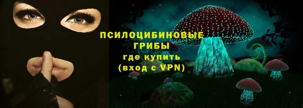 прущие грибы Кодинск