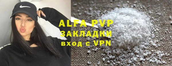 гашик Козловка