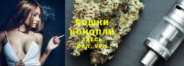 крисы Коряжма