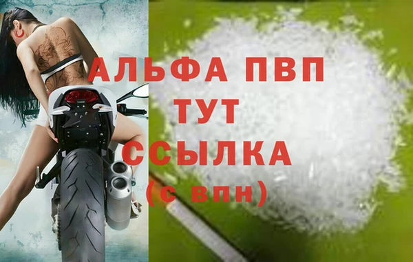 крисы Коряжма