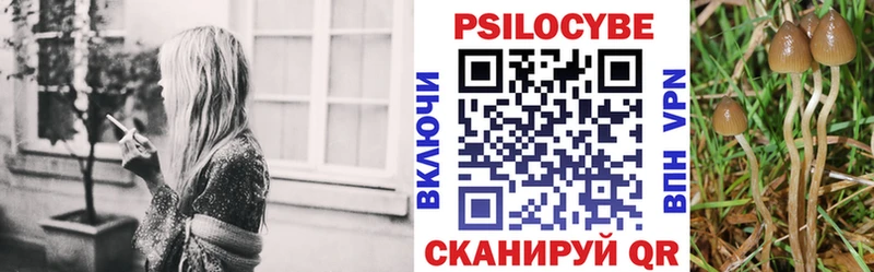 Галлюциногенные грибы GOLDEN TEACHER  Копейск 