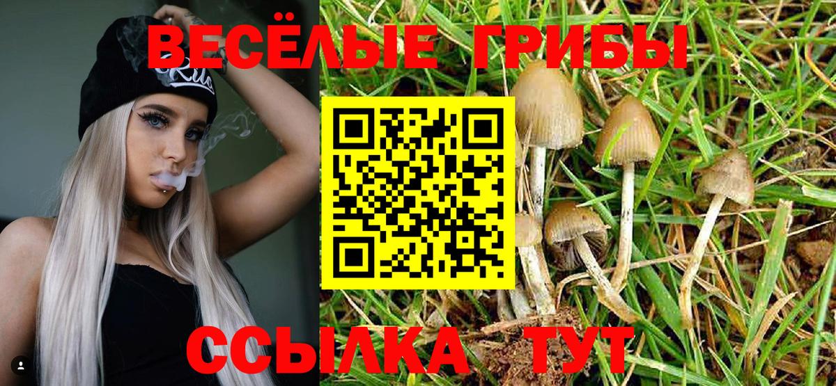 Галлюциногенные грибы Psilocybe  Вход с VPN  Копейск  Галлюциногенные грибы Psilocybine cubensis 